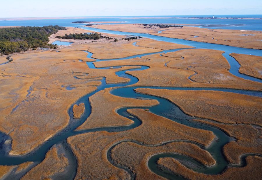 Marsh grass and a rock sill forming a living shoreline on a Chesapeake Bay tidal creek